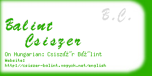 balint csiszer business card